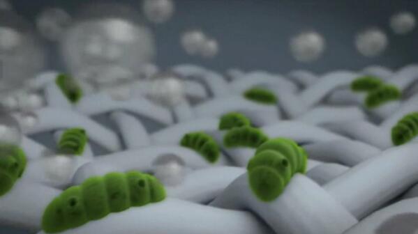 RT <a href="/Kispray_ID/">Kispray Anti Kuman</a>: Ada berapa kuman dalam gambar ini? Jawaban ditunggu sampai hari Minggu. RT dulu ya :)