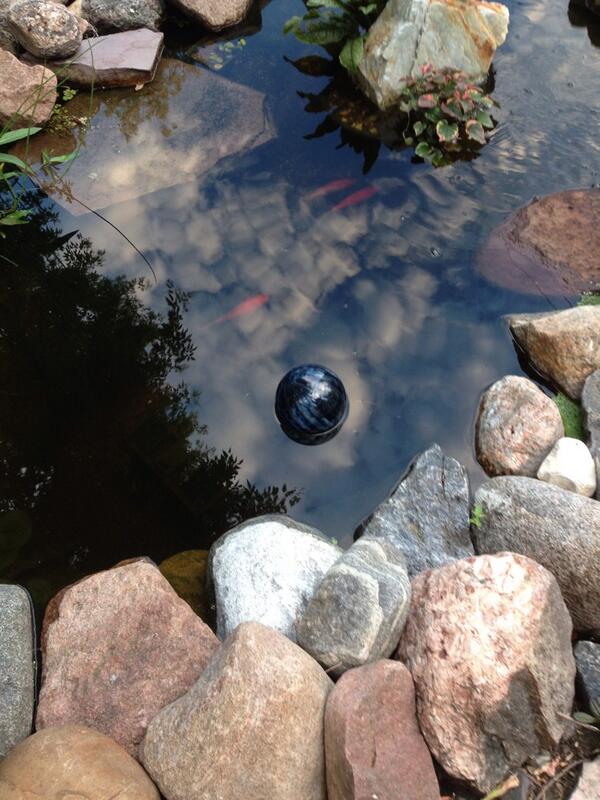 DrMrMurphy's tweet photo. @KelliHolden the perfect gift for a pond based on a story. 14 summers now my friend. http://t.co/8jkPsITctB
