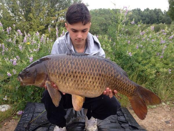 pearcyy81's tweet photo. 23 8 common @goonercarper @luckycarper http://t.co/xsK30818Rp