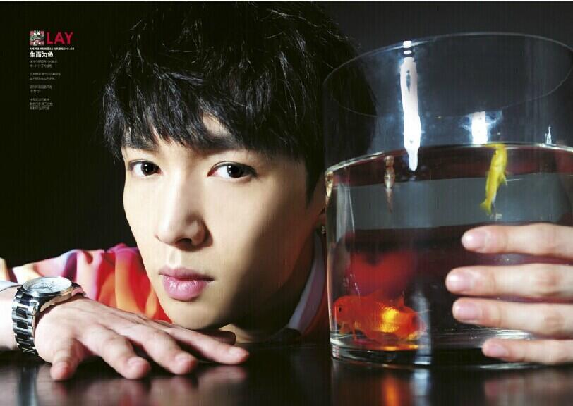 BsPFHXoCcAAyOkC.jpg:large