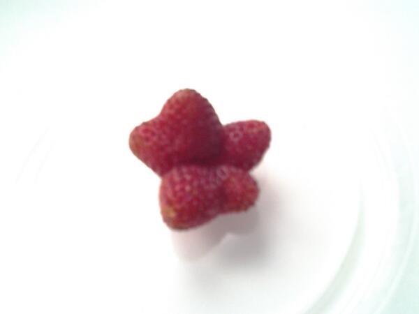 SpawnTW's tweet image. Вот чюдо-юдо!