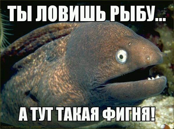 SpawnTW's tweet image. Да.......По хуже щуки!