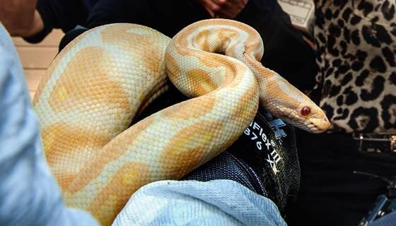 'House of horrors' snake hoarder banned from owning pets nbcnews.to/1r2k3gz