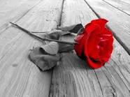 SteffySnoopy's tweet photo. Love,love,love... http://t.co/Tvzny4R7OS