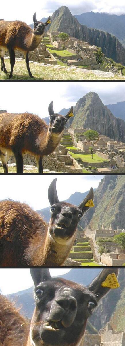 Goood morning! just got facebook, you know you wanna 'like' us! facebook.com/magpieupcyclin…, and here's something silly: