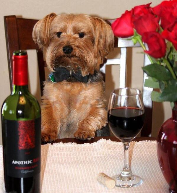 there is too much internet today, this morning its all promotional about facebook.com/magpieupcyclin… but I can help but: