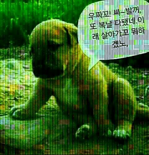 ㅋㅋ