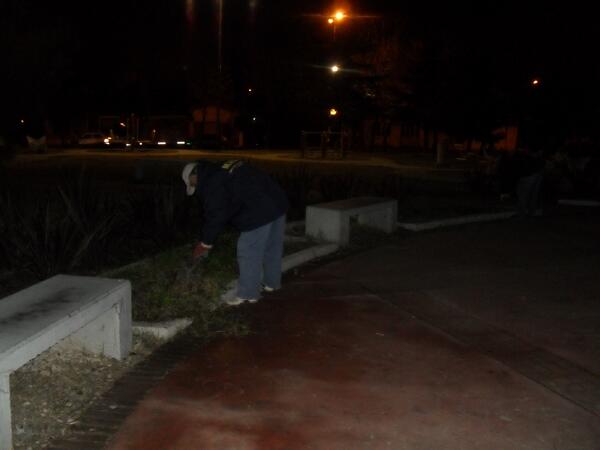 majo dalbagni tweet media