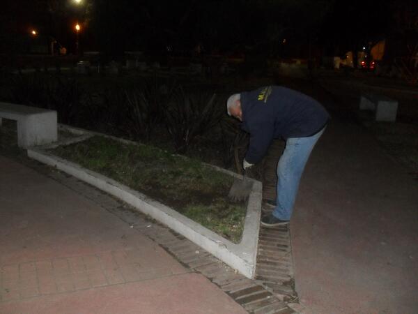 majo dalbagni tweet media