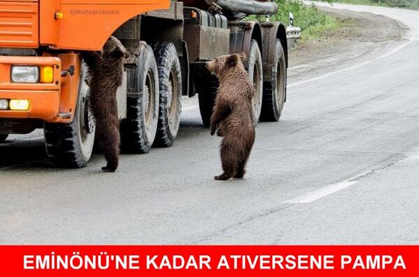 BsQsf2zCAAAwLOb.jpg%20%28599×397%29