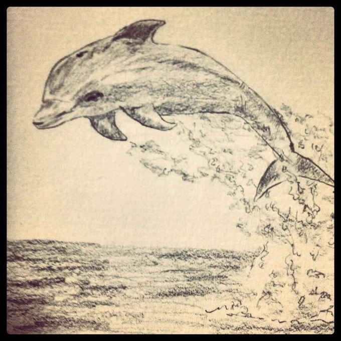 ただ絵が好きだった頃に描いたイルカ。
今見ると骨折してる。 