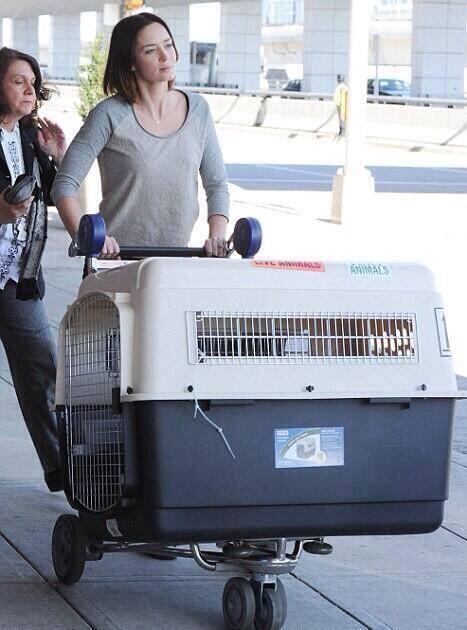 piesportsbooze's tweet photo. Suarez arrives in Barcelona #Suarez #SuarezFCB http://t.co/8WY9gkfv8p