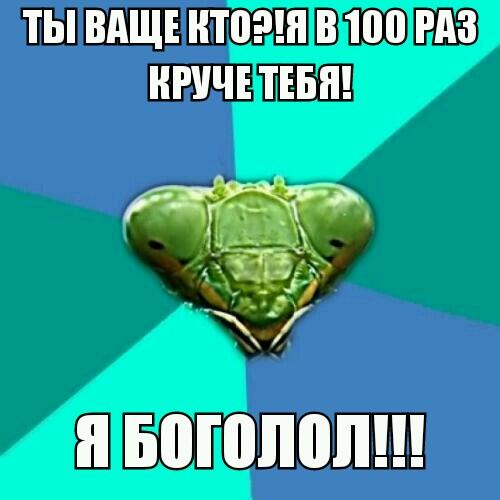 SpawnTW's tweet image. Боголол!