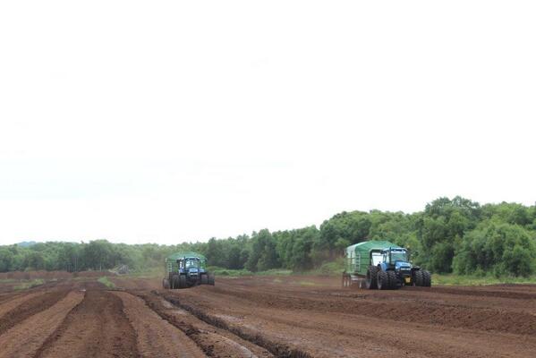 CLOVERPEAT (@cloverpeat) on Twitter photo 