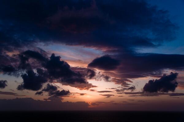 Blue Zones tweet media