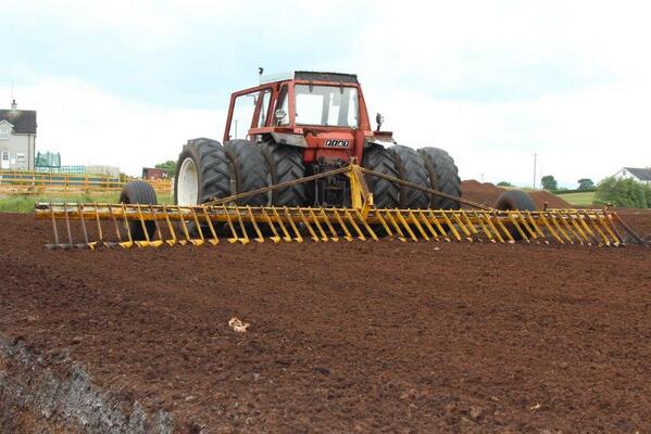 CLOVERPEAT (@cloverpeat) on Twitter photo 