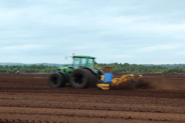 CLOVERPEAT (@cloverpeat) on Twitter photo 