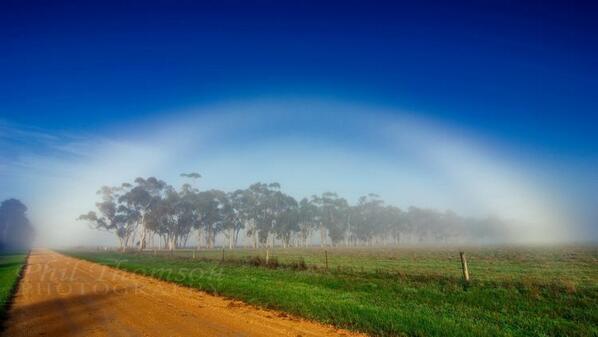 NASAGoddardPix's tweet photo. Happy fogbow Friday! http://t.co/lRQ8N4D4fj via @earthpic http://t.co/Lj6aRfdaQD