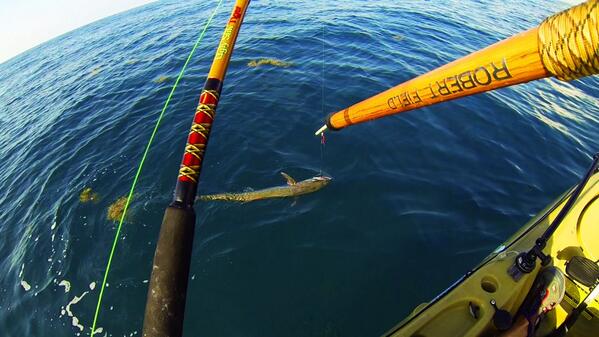 YakFishField's tweet image. I don't care who you are, stabbing a fish 5 miles out in the ocean using a gaff with your name on it is just cool.