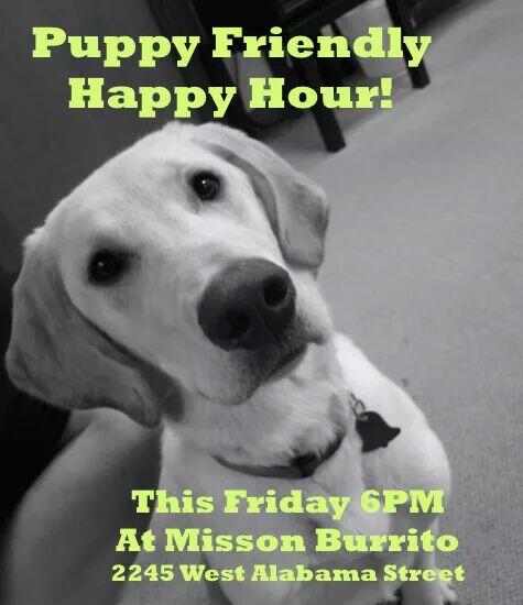 HoustonOasis's tweet photo. Looking forward to PPHH tonight at @missionburritos W Alabama. Mission burrito is puppy &amp; kid friendly. #HoustonOasis http://t.co/u2iXjx00Mw