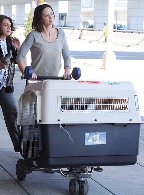 Tech101_news's tweet photo. Suárez llegando a Barcelona http://t.co/MMsSzdHYv8