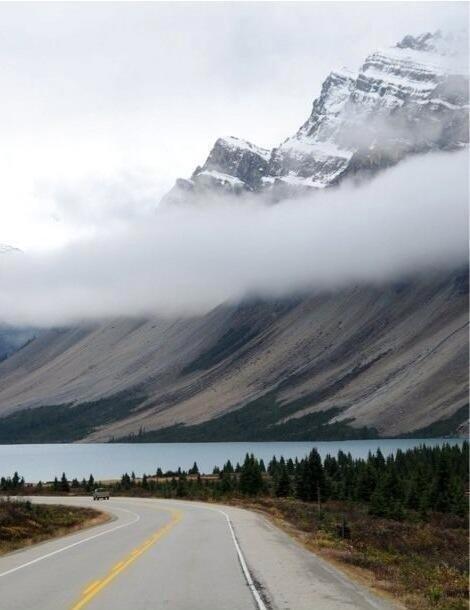 awkwardgoogle's tweet photo. The moment you realize that this is actually one photo, not two. http://t.co/NGR0iDfzja