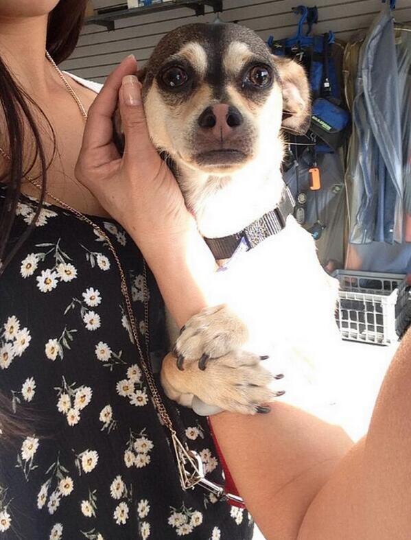 EgeOnline's tweet photo. when bae says they have to go http://t.co/Mtsyyx42TO