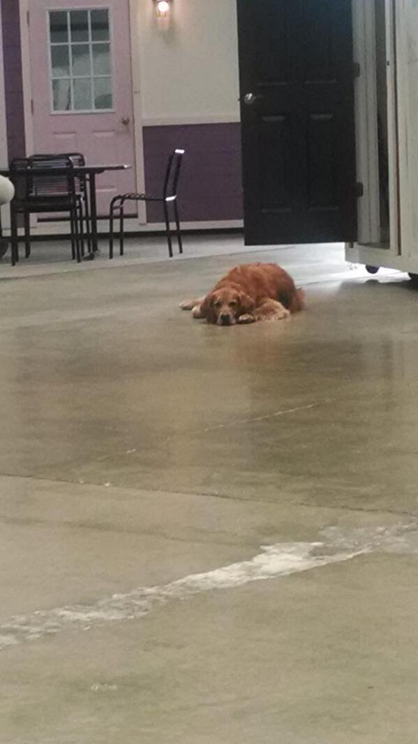 DigbyKime's tweet photo. Back to my old gig for a day laying around @developertown http://t.co/GFcY7WiKXN