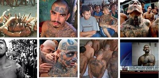 143,000 illegal alien gang bangers jailed in Texas