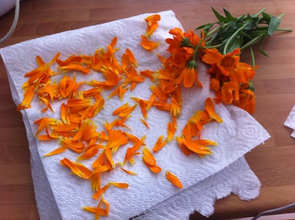 Goudsbloemen voor in de cake. Eerste keer voor mij. Morgen te proeven op <a href="/Boergondische/">Boergondische Sferen</a> #lekkerlandschap