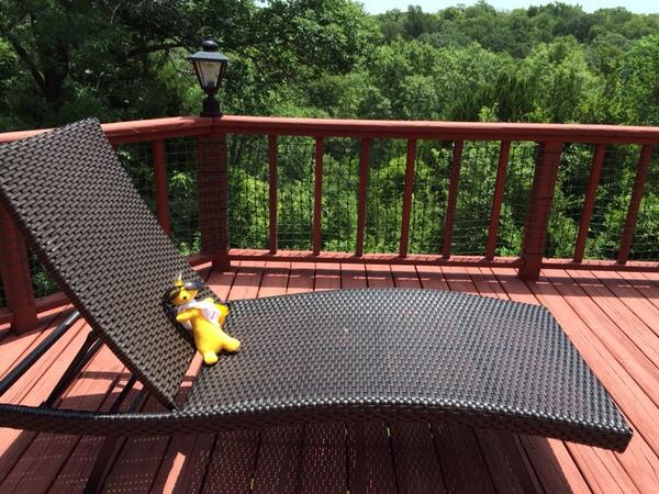 #icpc2014 Urfoo is getting a little sun on Bill's back porch after a successful World Finals.