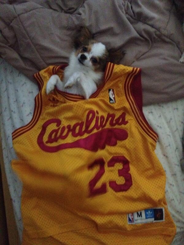 kevalves's tweet photo. She's happy he's back #BackToCleveland http://t.co/TF1Gf6qthh