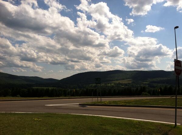 Suzanne Batchelor tweet media