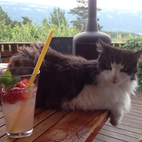 3ippi's tweet image. Summertime&amp;lt;3
Luv it&amp;lt;3