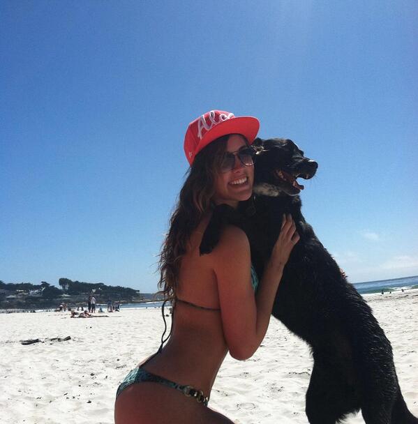 modelsandmutts tweet picture