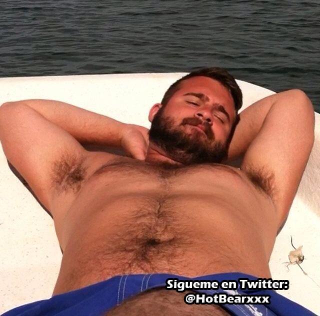 Enlace permanente de imagen incrustada