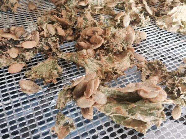 globalraw's tweet image. Rocken nacho kale chips! Happy Friday. #rawfoods #healthyanacks