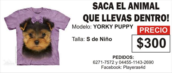 Playeras4D's tweet photo. Estrena tu playera! @sanjoseinsurgen @InsugenSanBorja @ciudad_segura @CddDep @CdSatelite @compraventapue @Vendo_DF http://t.co/bpt6IsVRLn