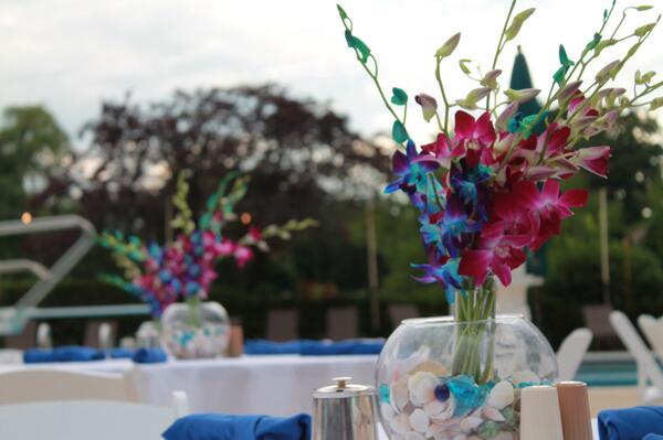 Ravinia Green CC tweet media