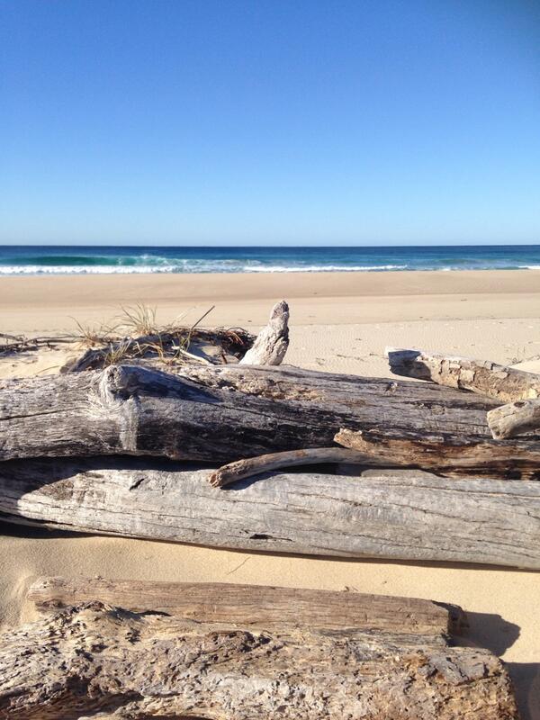 Chilly beautiful morning #birdiebeach cc@Wickedtaste