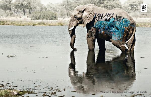 Ecogranjero's tweet photo. qué se necesita para que respetemos el planeta? http://t.co/fp0cwzeMu2