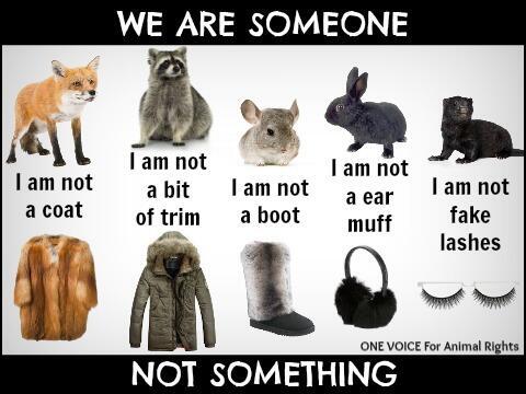 Tequila_Club__'s tweet photo. - We are someone 

- NOT something #FurFreeFriday @MariaConchita_A http://t.co/rGDWSrgpbE