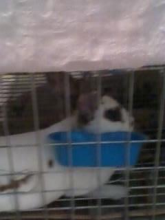 danielacopito93's tweet photo. hola http://t.co/5AupsgxrNi