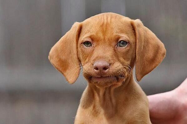 sarcasm on twitter no text back but you tweeting http t co