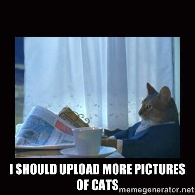 Paul S. Ziegler tweet media