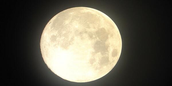 Moon Phases tweet media