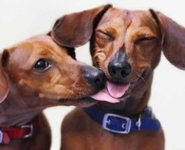 _Paisajes_'s tweet photo. "Un beso puede sacarle una sonrisa a cualquiera." http://t.co/6vcQaTS7jI
