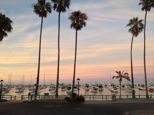 EvolvingGeek's tweet image. This little Italian place is great! #alwaysbeevolving (@ Ristorante Villa Portofino) swarmapp.com/evolvinggeek/c…