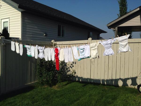 BoonBooner's tweet image. There&apos;s something so satisfying about a line full of #clothdiapers. #FluffOverload