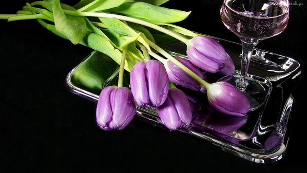 Tapeciarnia_pl's tweet image. #Fioletowe #Tulipany #Wino #Kieliszek #Wallpapers #Tapety #na #Pulpit  
 
Pobierz: tapeciarnia.pl/214807_fioleto…